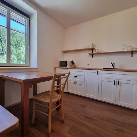 Apartment Zora Zgornje Jezersko